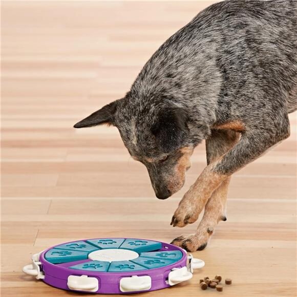 Dog Twister Dog Puzzle Interactive Treat Puzzle Dog Enrichment Dog Toy - Picture 5 of 7